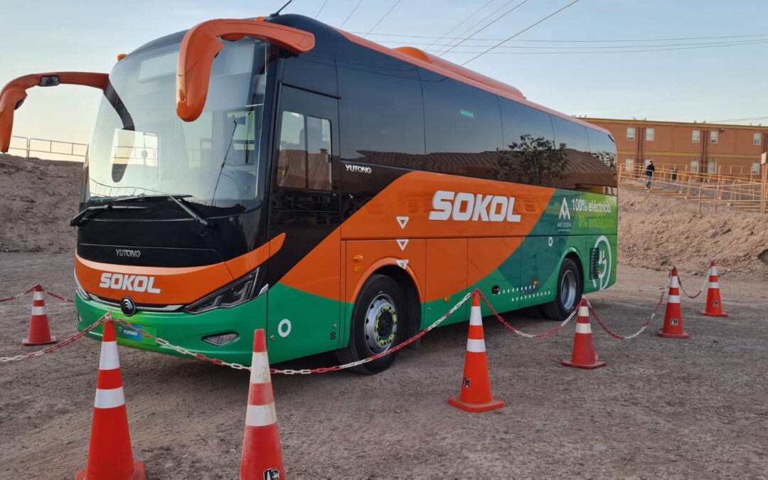 Taxibús eléctrico: sin emisiones de CO2 y con grandes desafíos
