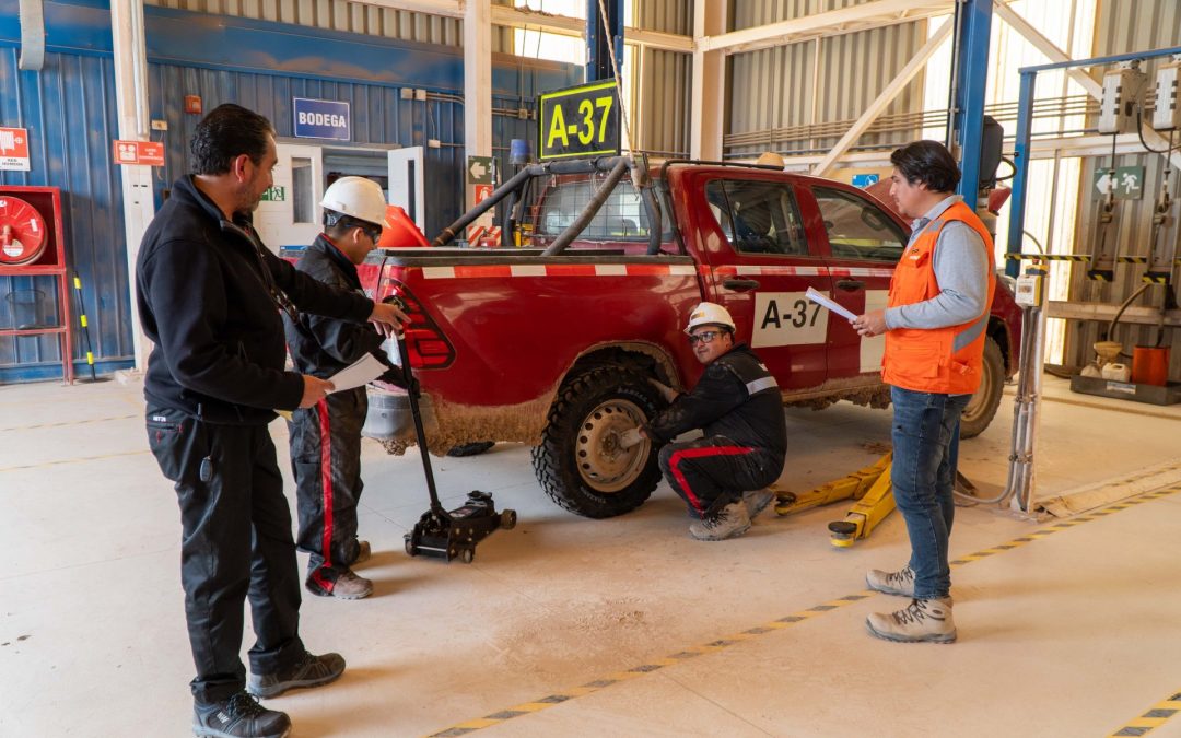 La técnica del sándwich y de la transparencia: la importancia de la retroalimentación en terreno