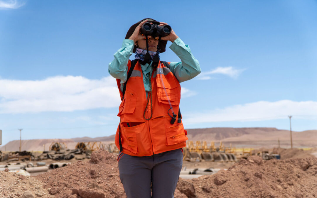 ¡Cuidemos la fauna! Entregan normas ante avistamientos de animales silvestres