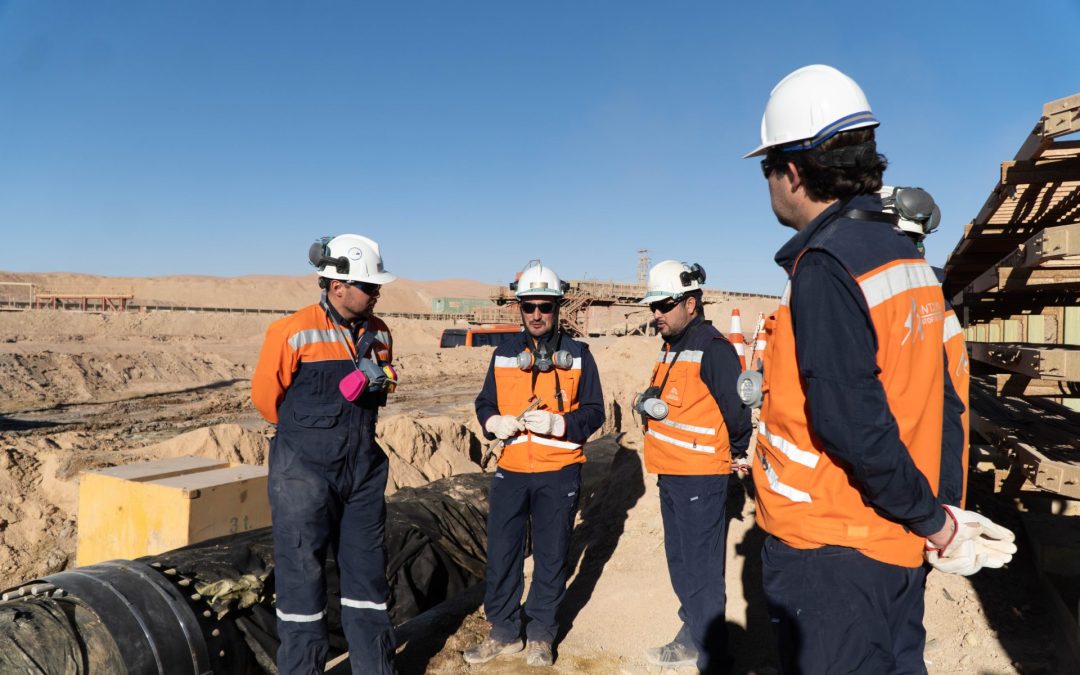 SGE: el motor de la competitividad