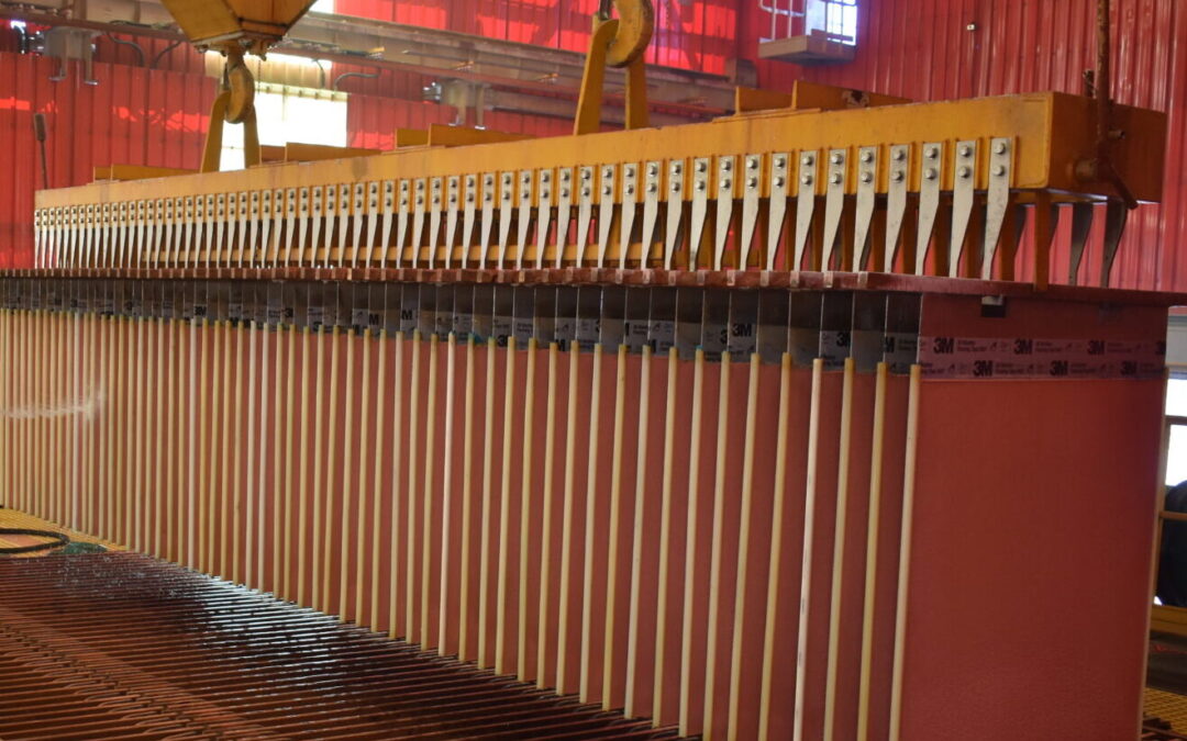 Innovación de operadores: robot despegador de cátodos mejoró su eficiencia