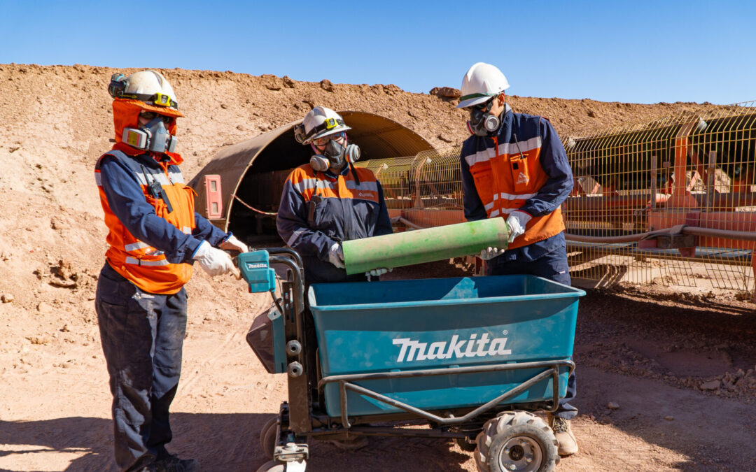 Nuevas carretillas eléctricas elevan el estándar en Ripios